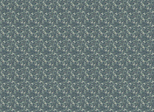 Factura ERBA FRAGOLA ERBA FRAGOLA 10