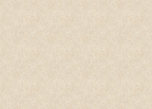 Обои шириной 70 см и длиной 10,05 метров Zambaiti Trussardi VIII Z30351