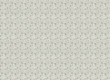 Factura ERBA FRAGOLA ERBA FRAGOLA 4