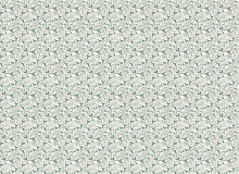 Factura ERBA FRAGOLA ERBA FRAGOLA 2